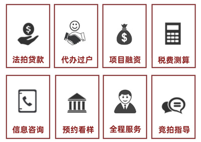 網(wǎng)絡(luò)司法拍賣(mài)預(yù)告 2021年1月11日融資咨詢服務(wù)專場(chǎng)解析